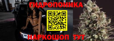 амфетамин Бердск