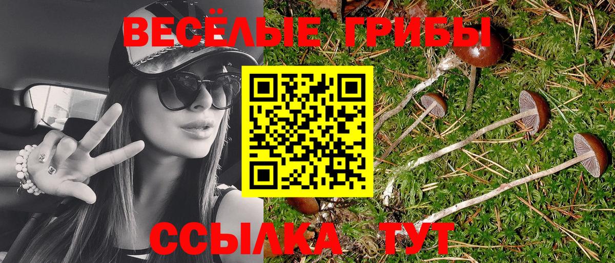 Галлюциногенные грибы ЛСД Добрянка