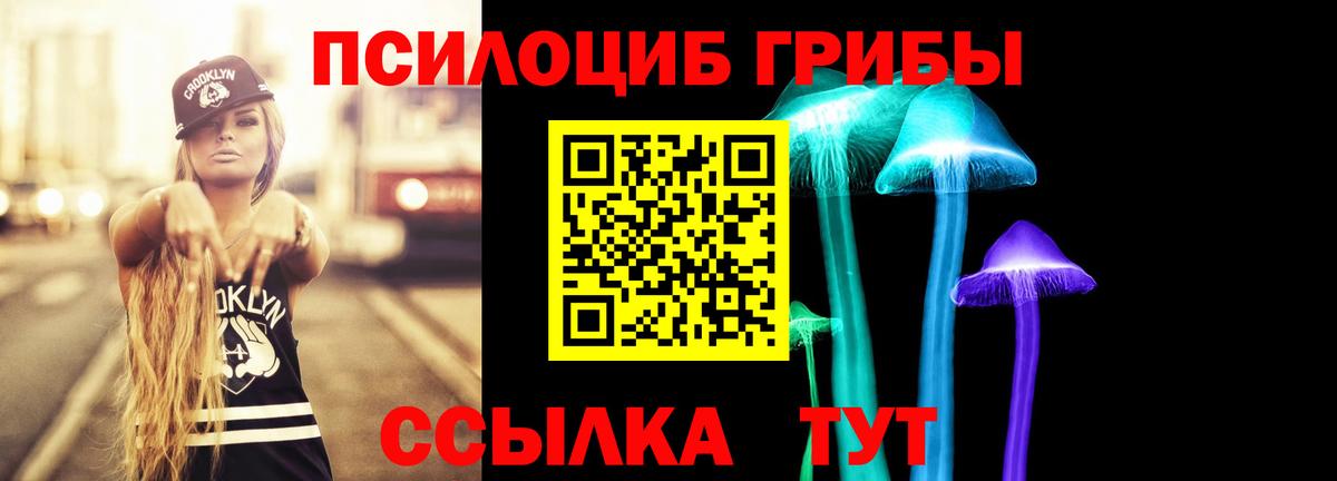 Добрянка  Псилоцибиновые грибы мухоморы  Вход с VPN  Псилоцибиновые грибы GOLDEN TEACHER 